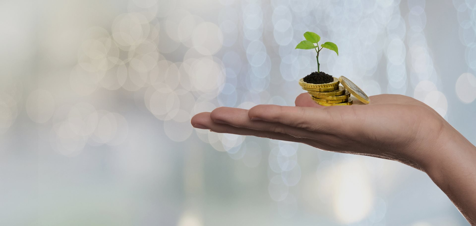 Five key strategies for financial success: a guide on how to create wealth as a business owner